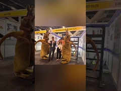 Un viaggio gratificante all'esposizione edilizia di Sydney