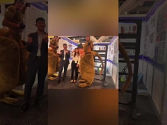 Un viaggio gratificante all'esposizione edilizia di Sydney